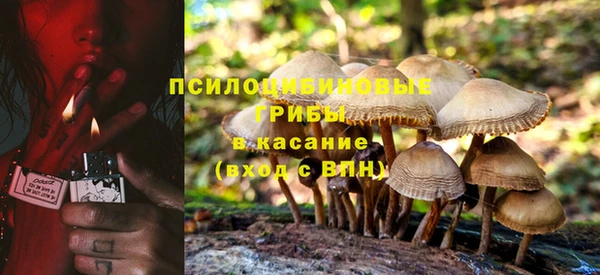 apvp Абдулино