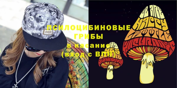 дмт Абаза
