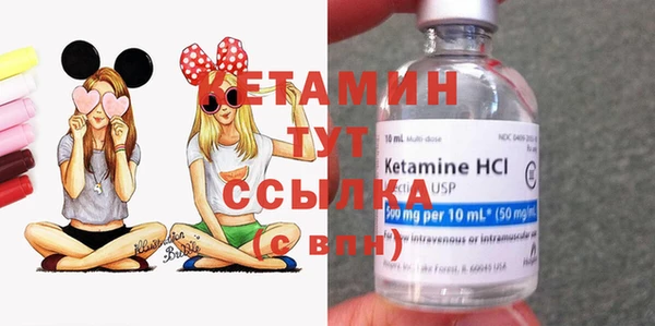 дмт Абаза