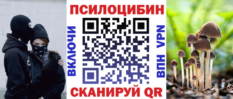 наркошоп  Власиха  Псилоцибиновые грибы Psilocybine cubensis 